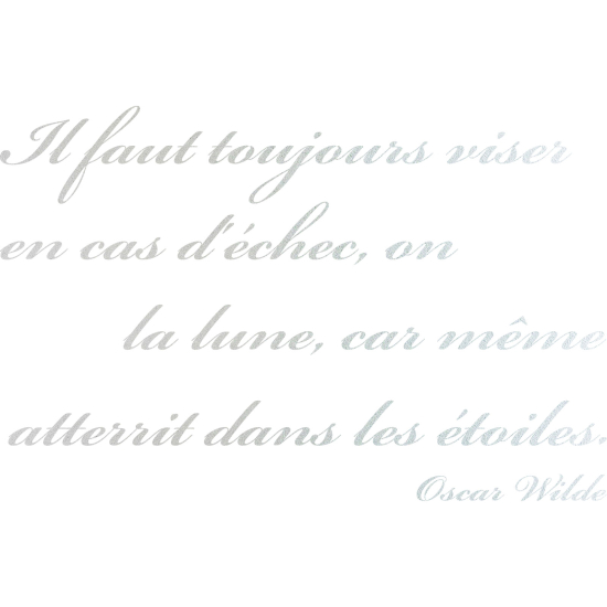 Frosted Window Glass Sticker - Quote Oscar Wilde