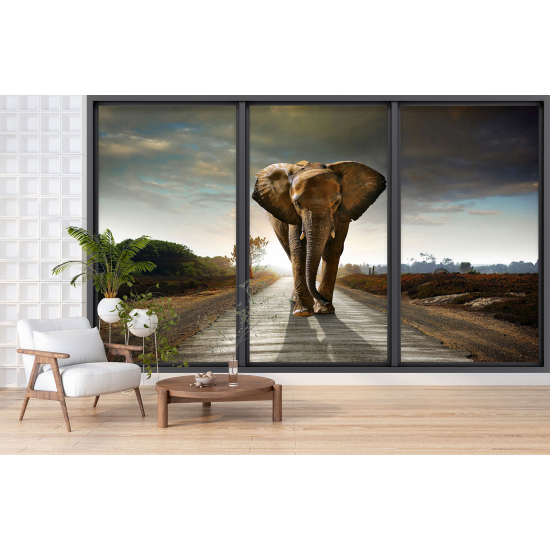 Optical Illusion Panoramic Bay Window Wall Mural / Wallpaper - Elephant