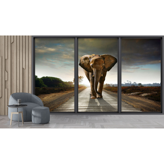 Optical Illusion Panoramic Bay Window Wall Mural / Wallpaper - Elephant