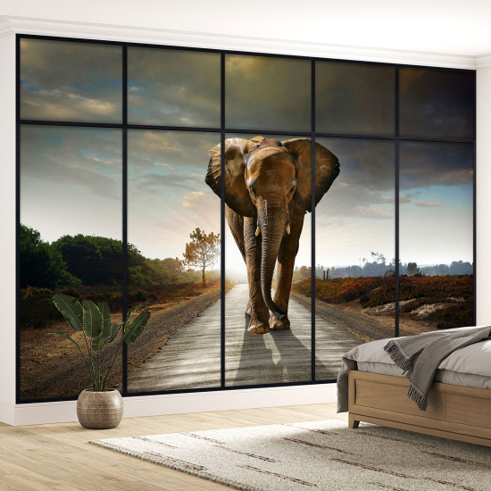 Optical Illusion Panoramic Window Wall Mural / Wallpaper - Elephant