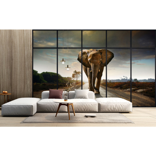 Optical Illusion Panoramic Window Wall Mural / Wallpaper - Elephant