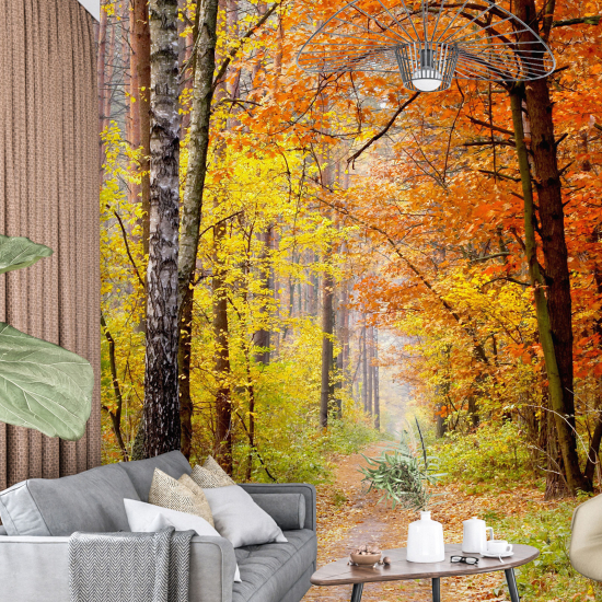 Panoramic Wallpaper - Wall Mural - Autumn Forest