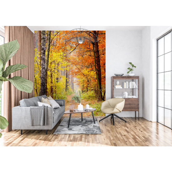 Panoramic Wallpaper - Wall Mural - Autumn Forest