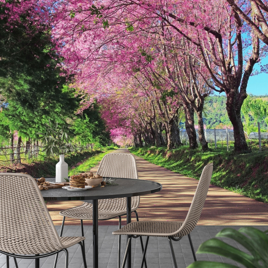 Panoramic Wallpaper - Wall Mural - Cherry Tree Path