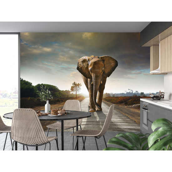 Panoramic Wallpaper - Wall Mural - Elephant