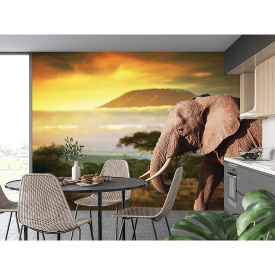 Panoramic Wallpaper - Wall Mural - Elephant