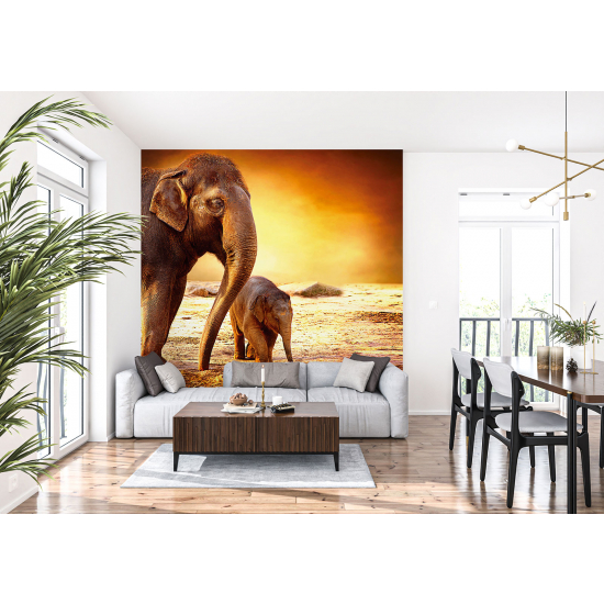 Panoramic Wallpaper - Wall Mural - Elephants