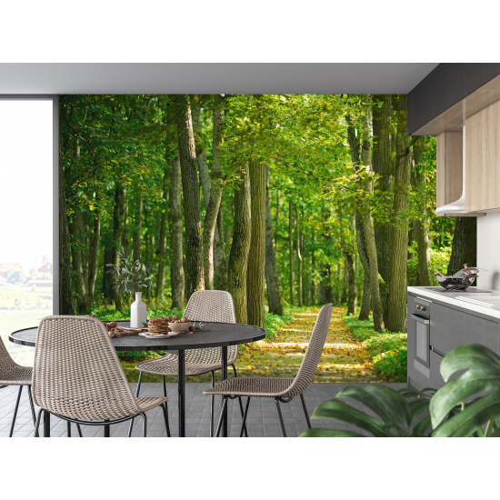 Panoramic Wallpaper - Wall Mural - Forest