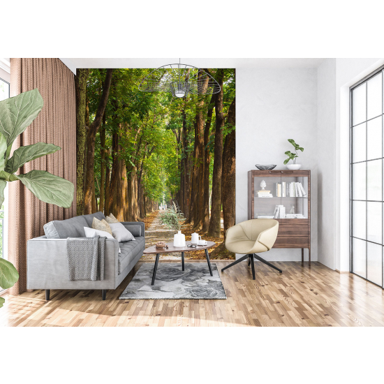 Panoramic Wallpaper - Wall Mural - Forest Path