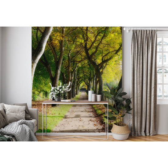 Panoramic Wallpaper - Wall Mural - Forest Path