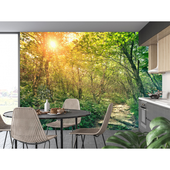 Panoramic Wallpaper - Wall Mural - Forest Path