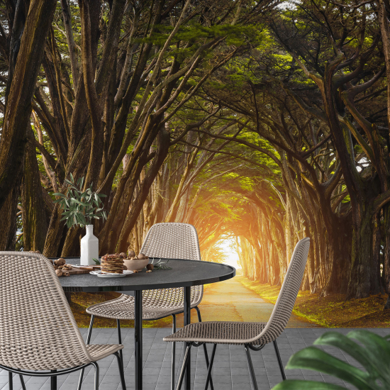 Panoramic Wallpaper - Wall Mural - Forest Path