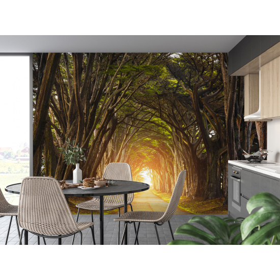 Panoramic Wallpaper - Wall Mural - Forest Path