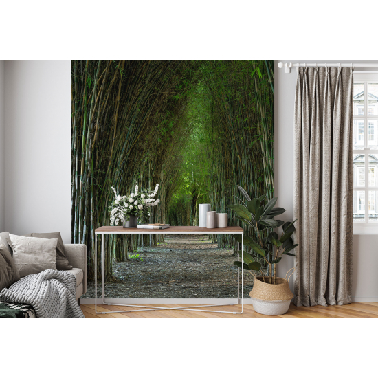 Panoramic Wallpaper - Wall Mural - Forest path