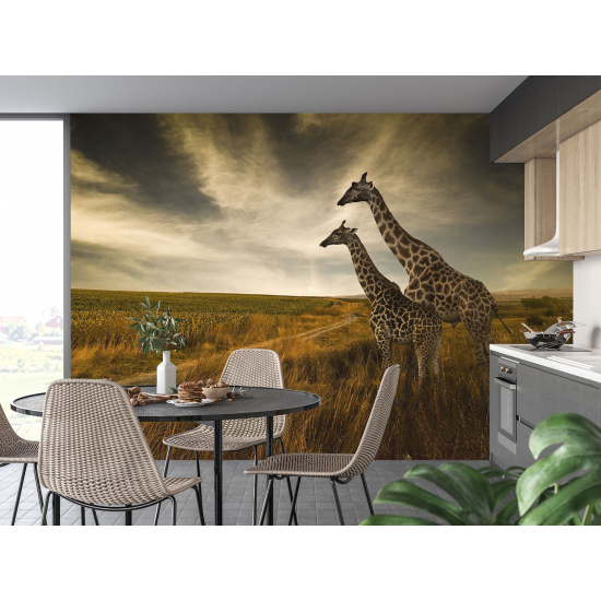 Panoramic Wallpaper - Wall Mural - Giraffes