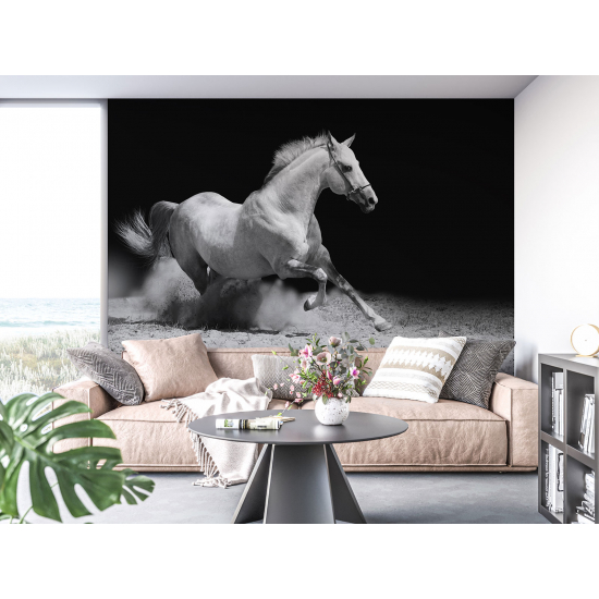 Panoramic Wallpaper - Wall Mural - Horse