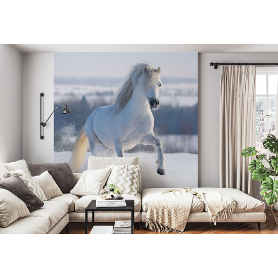 Panoramic Wallpaper - Wall Mural - Horse