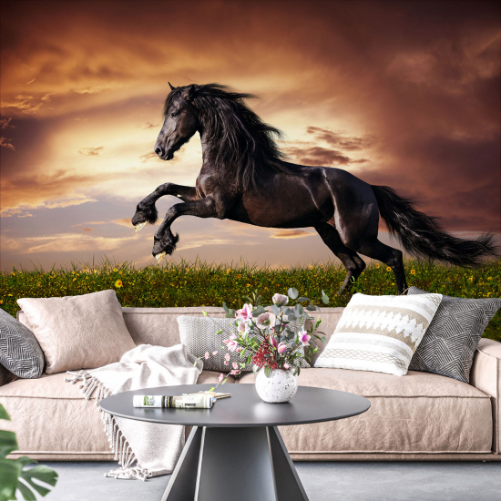 Panoramic Wallpaper - Wall Mural - Horse