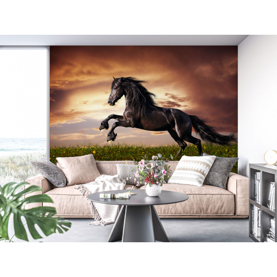 Panoramic Wallpaper - Wall Mural - Horse