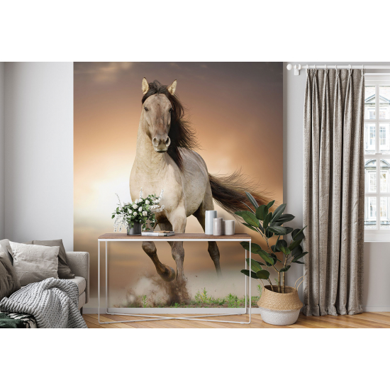 Panoramic Wallpaper - Wall Mural - Horse