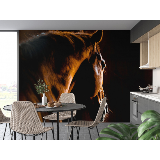 Panoramic Wallpaper - Wall Mural - Horse