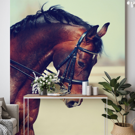 Panoramic Wallpaper - Wall Mural - Horse