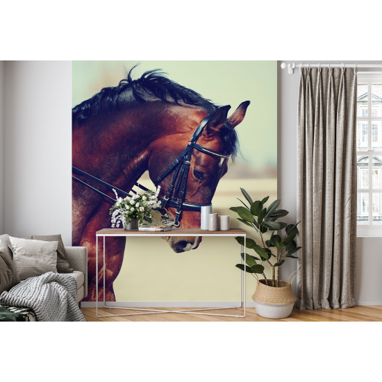 Panoramic Wallpaper - Wall Mural - Horse