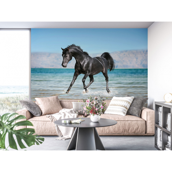 Panoramic Wallpaper - Wall Mural - Horse