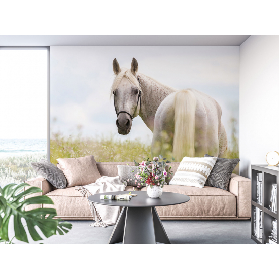 Panoramic Wallpaper - Wall Mural - Horse