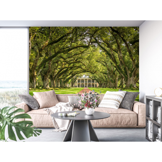 Panoramic Wallpaper - Wall Mural - Louisiana Garden