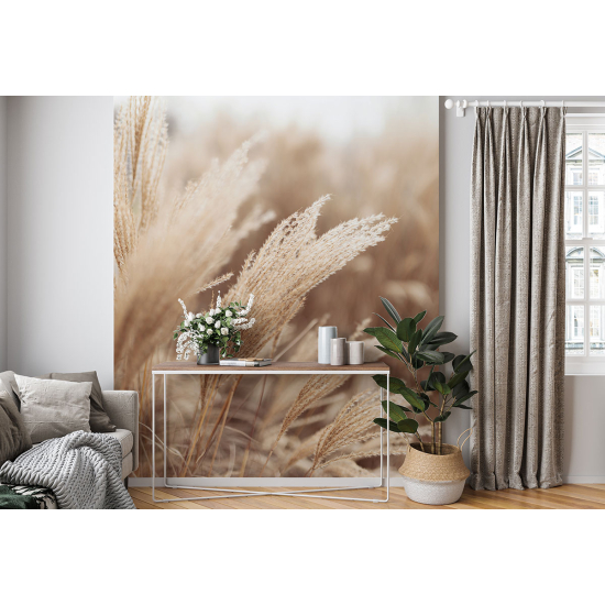 Panoramic Wallpaper - Wall Mural - Pampas