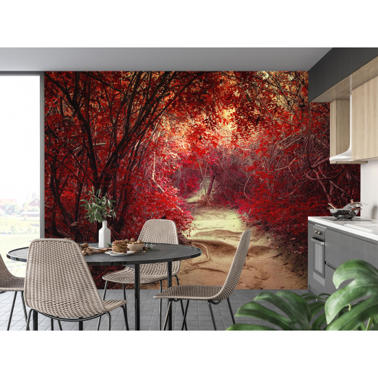 Panoramic Wallpaper - Wall Mural - Red Leaves Path