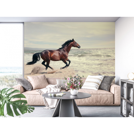 Panoramic Wallpaper - Wall Mural - Sea Horse