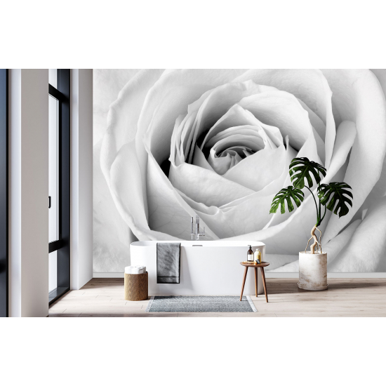 Panoramic Wallpaper - Wall Mural - The rose