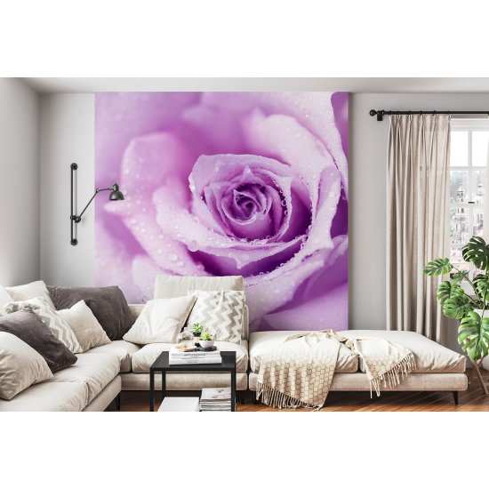 Panoramic Wallpaper - Wall Mural - The rose