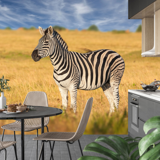 Panoramic Wallpaper - Wall Mural - Zebra