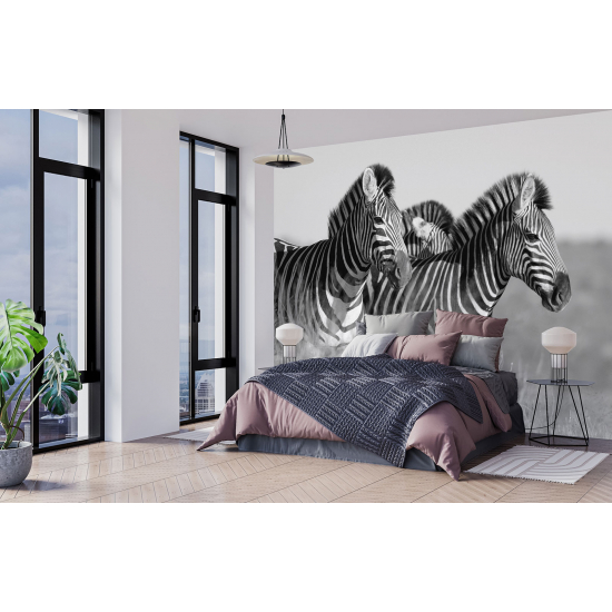 Panoramic Wallpaper - Wall Mural - Zebras