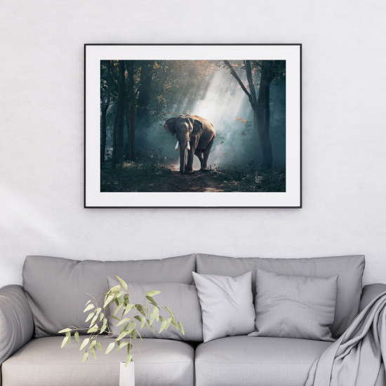 Poster - Elephant