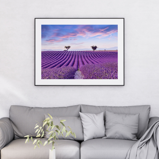 Poster - Lavender field