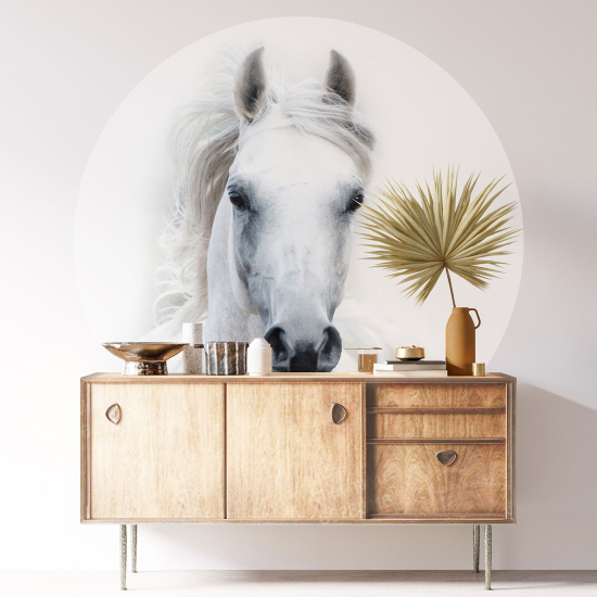 Round / Circle Wall Sticker - Horse