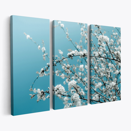 Triptych Canvas Prints - Cherry blossoms