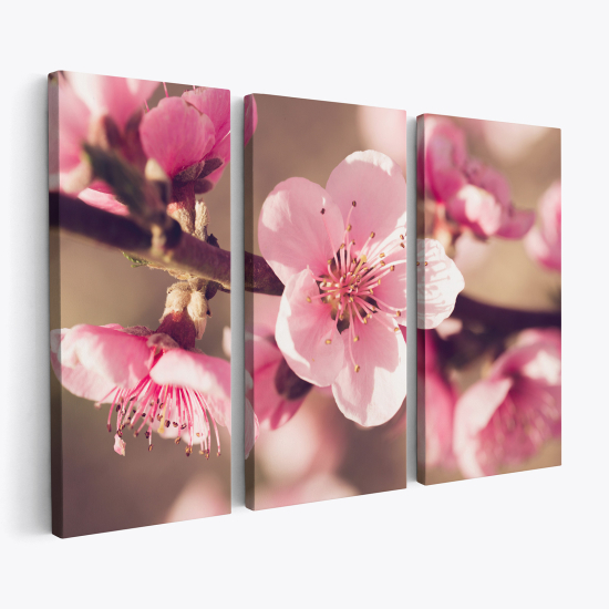 Triptych Canvas Prints - Cherry Blossoms