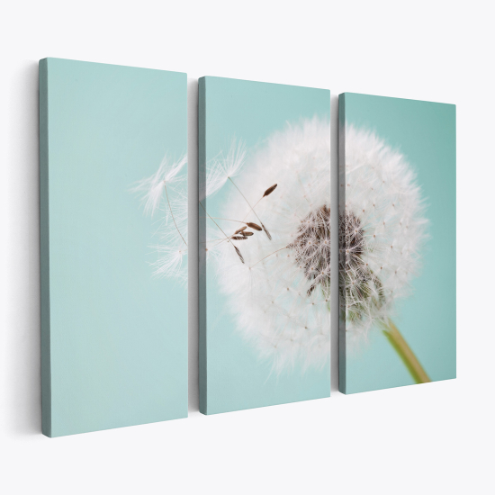 Triptych Canvas Prints - Dandelion