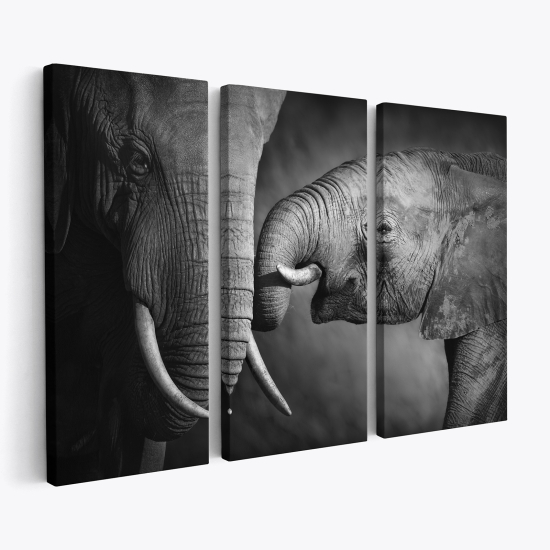 Triptych Canvas Prints - Elephants