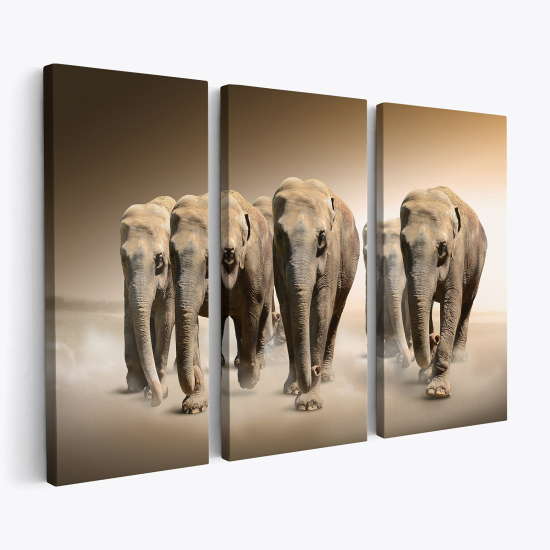 Triptych Canvas Prints - Elephants