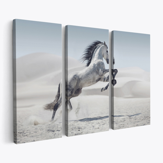 Triptych Canvas Prints - Horse