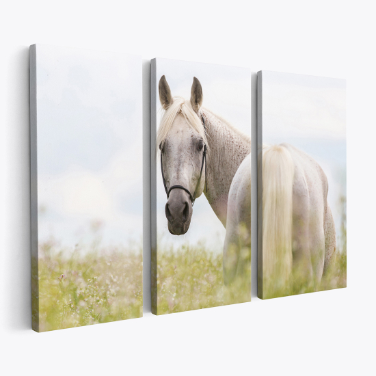 Triptych Canvas Prints - Horse