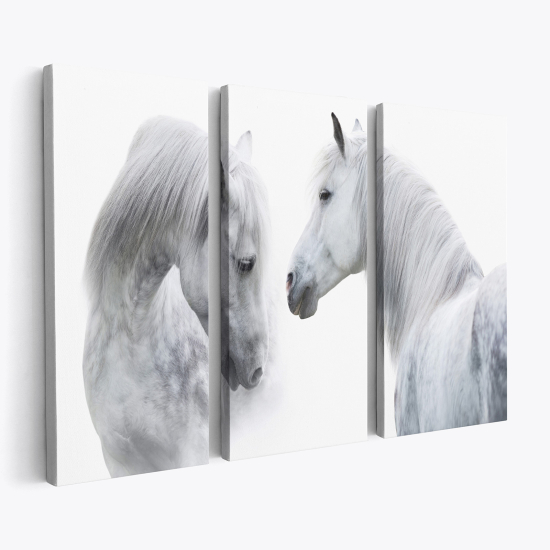 Triptych Canvas Prints - Horses