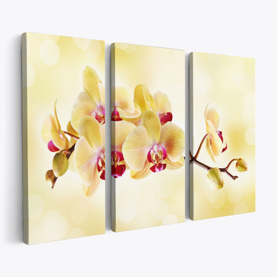 Triptych Canvas Prints - Orchids