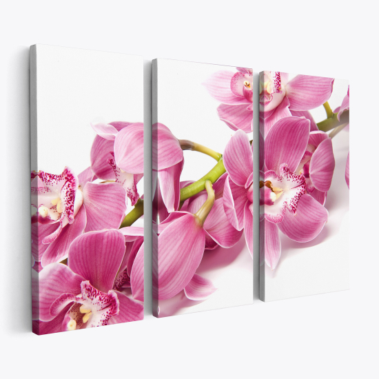 Triptych Canvas Prints - Orchids